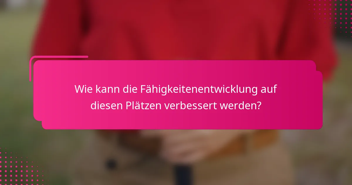 Wie kann die Fähigkeitenentwicklung auf diesen Plätzen verbessert werden?